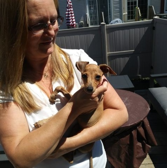 Meet your Posher, Joanne - Picture 1 of 1